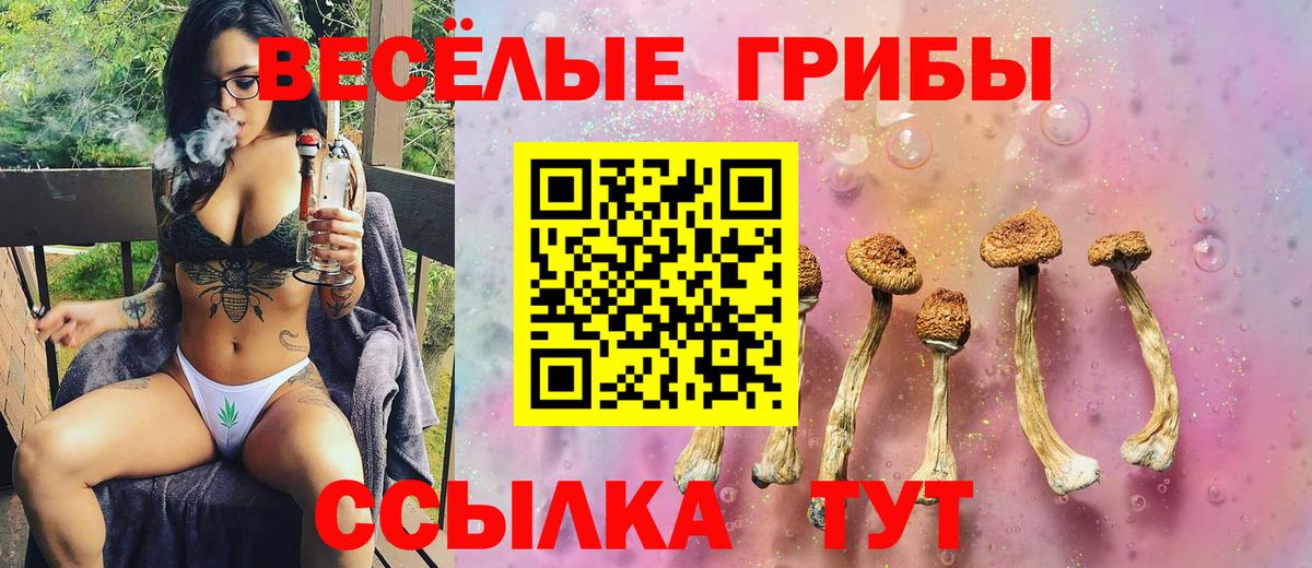 Псилоцибиновые грибы ЛСД  Вход с VPN  Одинцово 